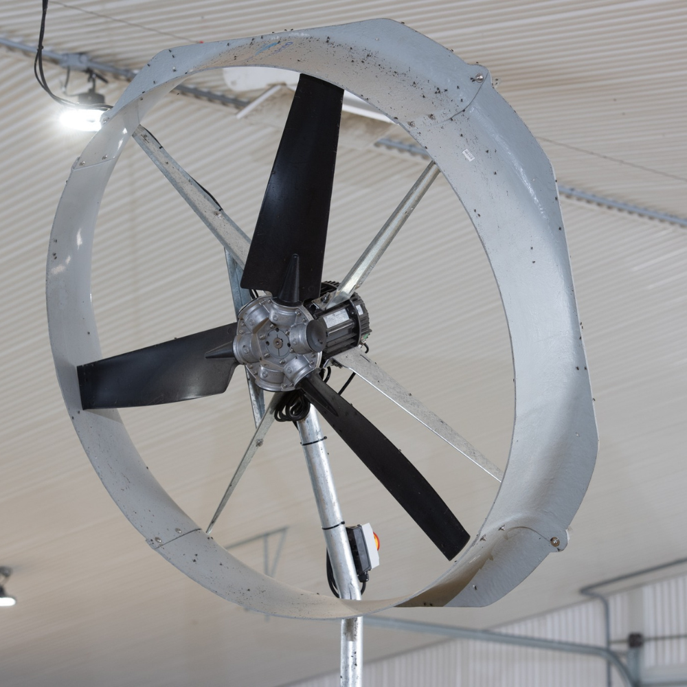 Ventilators Boreal Flow 55